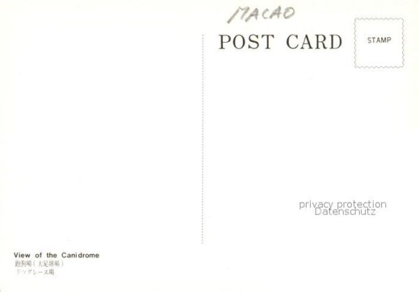 Macao Cani drome Nachtaufnahme – Bild 2