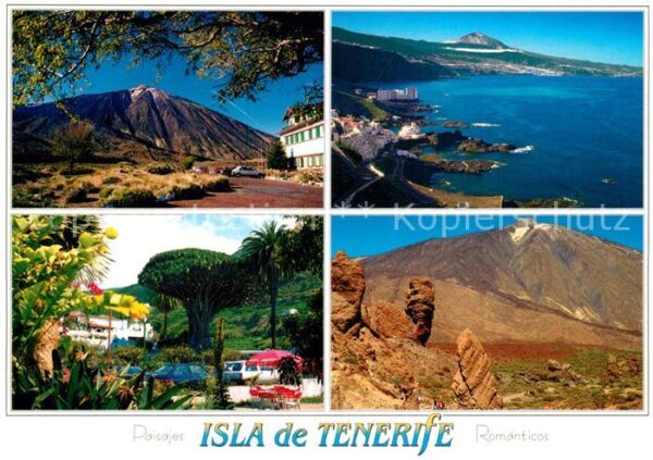Tenerife Canadas del Teide Costa Norte Drago Mil