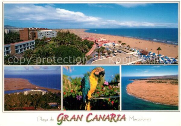 Gran Canaria Fliegeraufnahme Playa de las Palomas
