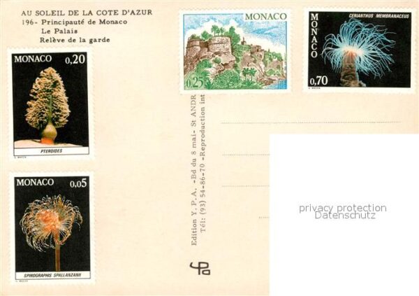 Monte-Carlo Palais – Bild 2