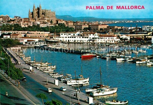 Palma de Mallorca Club Nautico y Catedral