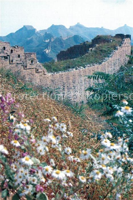 China Spring Scene of the Great Wall Frühling