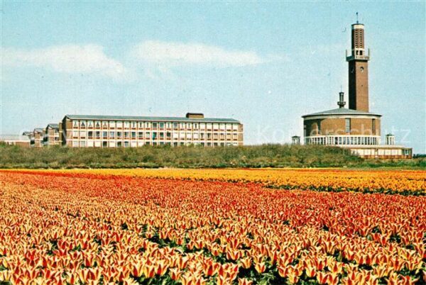 Noordwijkerhout Leeuwenhorst Tulpenbeet