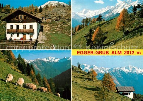Stuls Moos Passeier Egger Grub Alm Almwiesen Schafe Alpenpa
