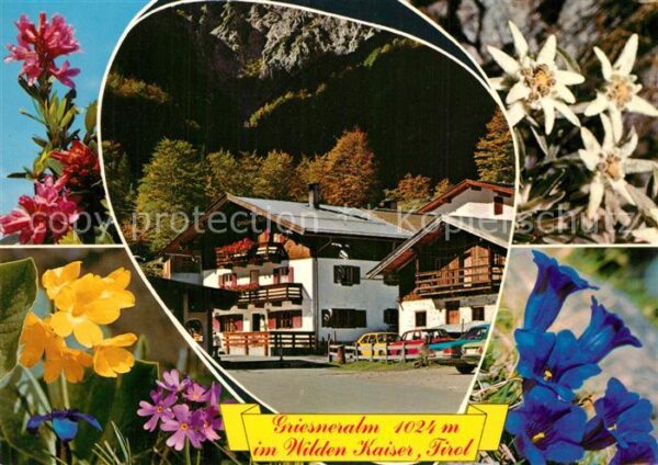 Kirchdorf Tirol Unterkunftshaus Griesneralm Naturschutz
