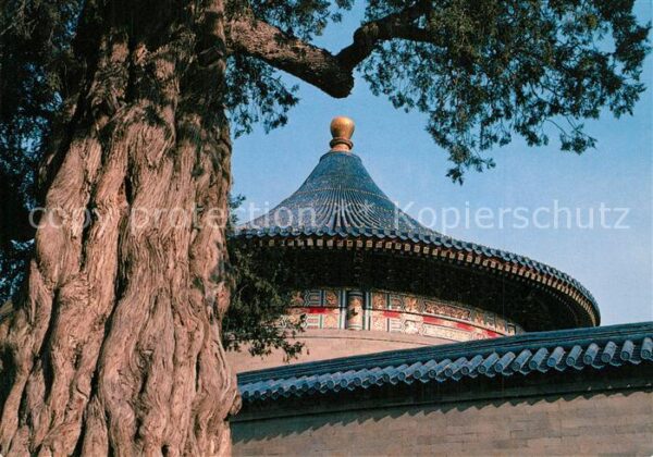 Peking Pekin Beijing Corner of Tiantan Park Temple of Heaven