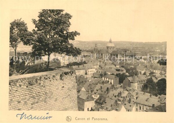 Namur sur Meuse Stadtblick