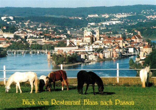 Haibach Donau Cafe Restaurant Blaas Blick nach Passau