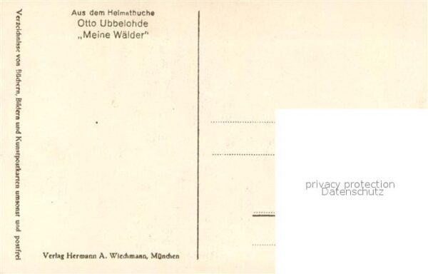 Ubbelohde Otto Im Sagenwald Verlag-Wiechmann – Bild 2