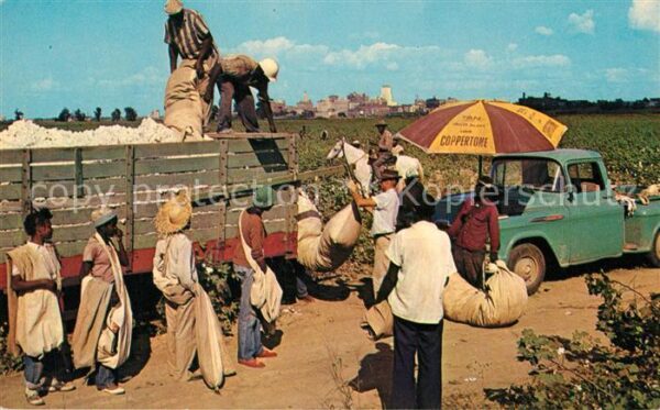 Cotton Pickers Baumwollpfl?cker Memphis