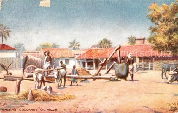 Verlag Tucks Oilette Nr. 7065 Madras Cocoanut Oil Mills