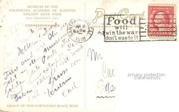 Bueren Northwestern Black Bear Museum San Fran – Bild 2