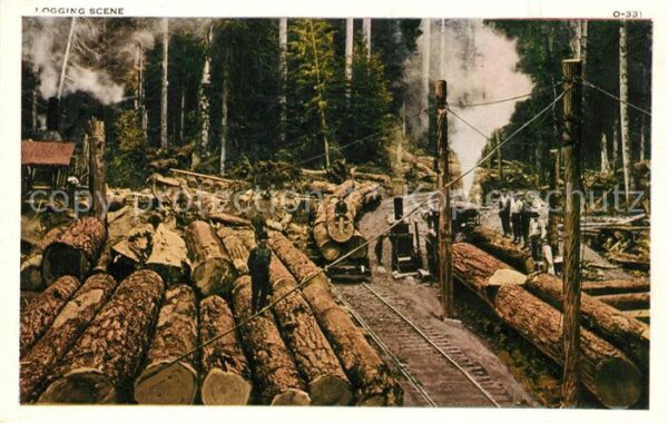 Berufe Holzf?llerei Logging Scene Alaska