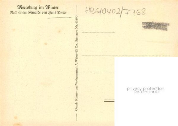 Dieter Hans Meersburg im Winter – Bild 2