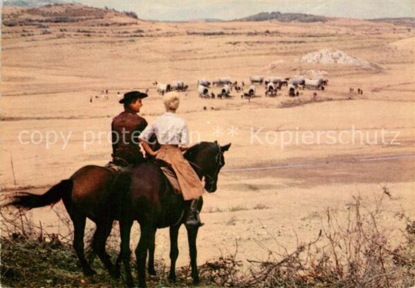 Kino Film Unter Geiern Annie und Martin Lager der