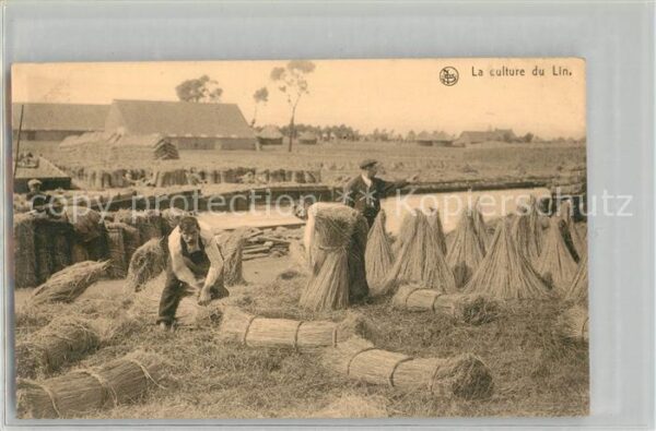 Ernte Landwirtschaft Culture du Lin Rouissage Paille