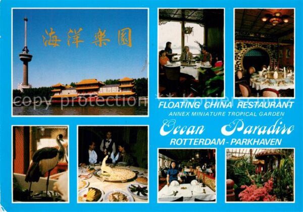 Rotterdam Floating China Restaurant Ocean Paradis