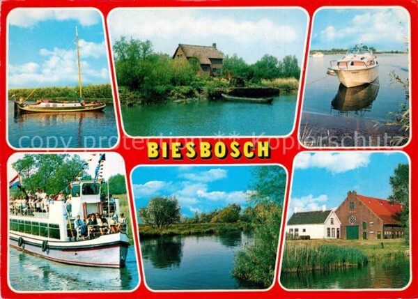 Biesbosch Landschaftspanorama Naturschutzgebiet F