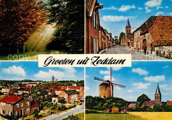 Zeddam Waldpartie Gesamtansicht Ortsmotiv mit