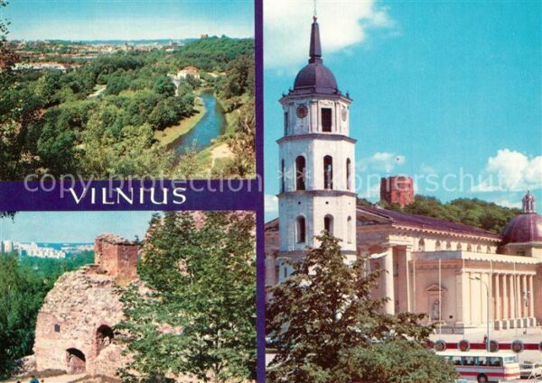 Vilnius Landschaftspanorama Ruine Kathedrale