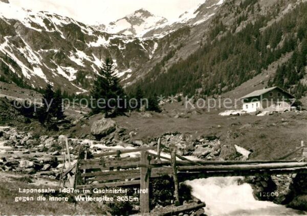 Gschnitz Tirol Laponesalm im Gschnitztal gegen Wetters