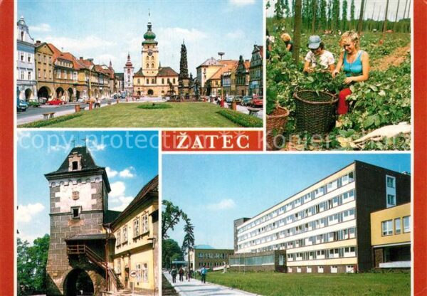 Zatec Ringplatz Dreifaltigkeitssäule Rathaus