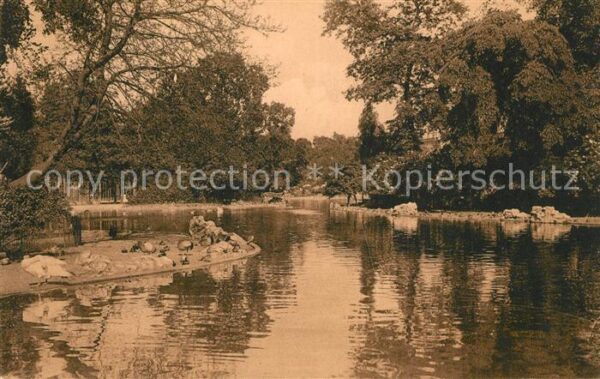 Anvers Antwerpen Jardin Zoologique Grand Bassin