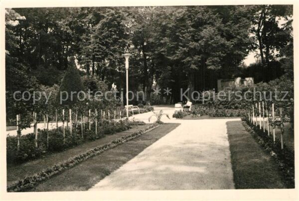 Greifenberg Pommern Rosengarten