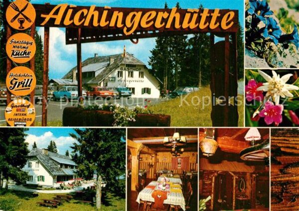 Dobratsch Kaernten Aichingerhütte Villacher Alpe Alpenflor