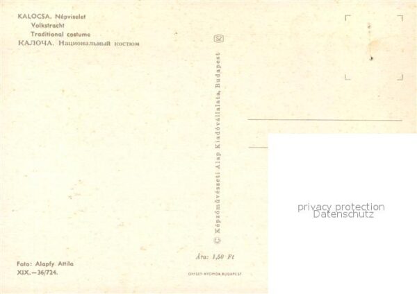 Kalocsa Nepviselet Volkstracht – Bild 2