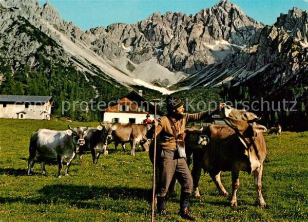 Giessenbach Eppzirler Alpe Alm Bergbauer Kühe Karwe