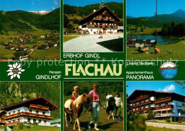Flachau Pension Gindlhof Erbhof Gindl Apparteme