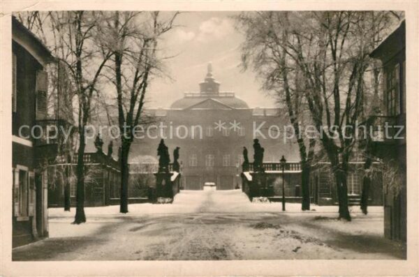 Rastatt Schloss im Rauhreif