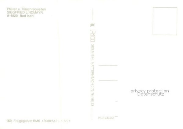 Bad Ischl Salzkammergut Fliegeraufnahme – Bild 2
