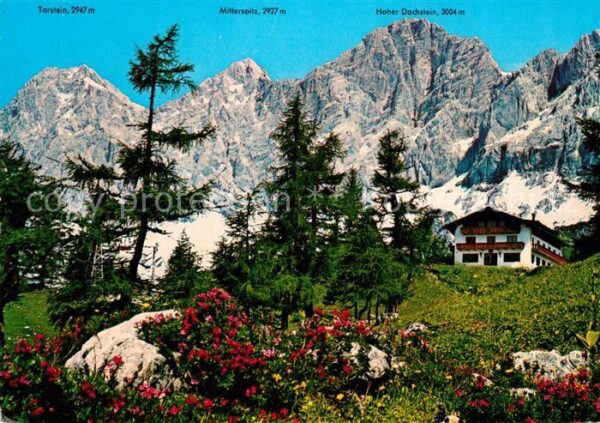Ramsau Dachstein Steiermark Berghotel Türlwand mit Dachsteinsüdwand