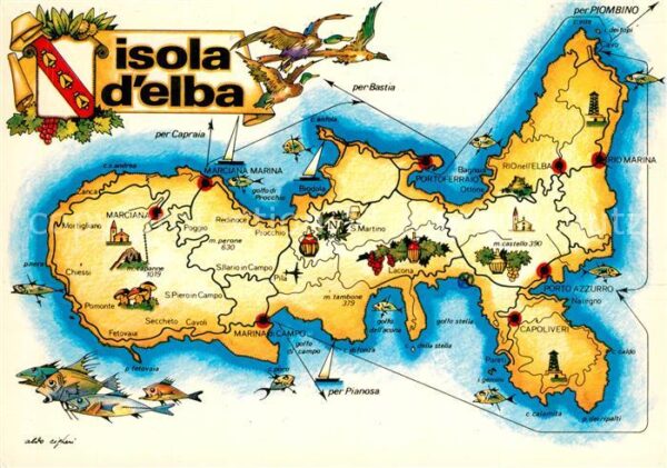 Isola d Elba Landkarte Mittelmeerinsel