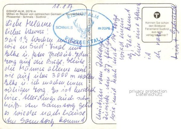Schnals Bozen Suedtirol Eishof Alm Pfossental Murmeltier Alpenf – Bild 2
