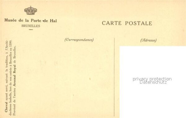 Pferde Cheval de l'Archiduchesse Isabelle Muse – Bild 2