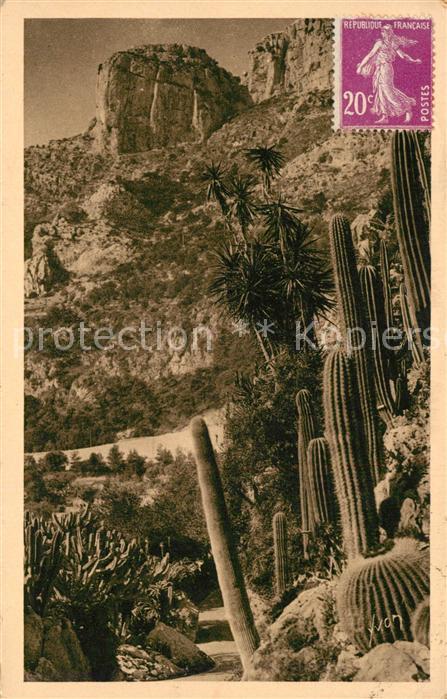 Kakteen Monte-Carlo Jardin Exotique