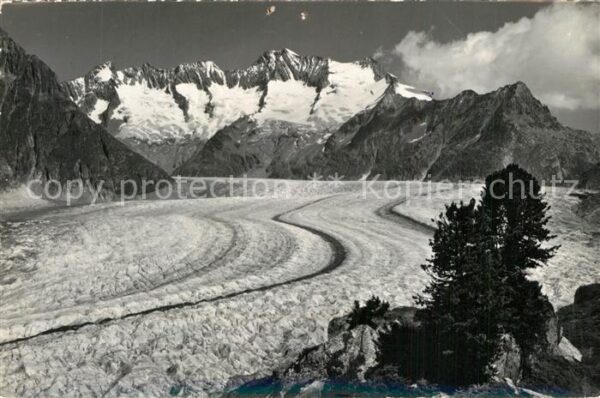 Gletscher Riederalp ob M?rel Grosser Aletschglets