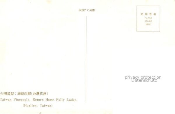 Obst Ananas Hualien Taiwan Pineapple Home-Fu – Bild 2