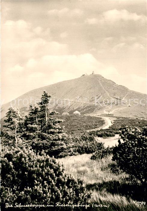 Foto Popp Nr. 71 Schneekoppe Riesengebirge