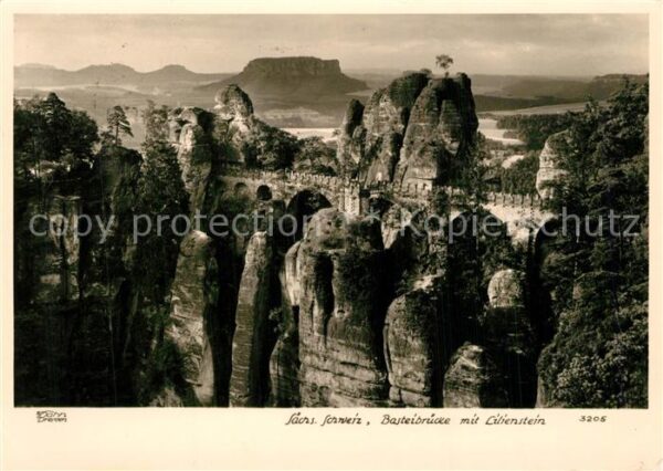 Foto Hahn Nr. 3205 Basteibr?cke Lilienstein