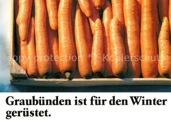 Lebensmittel Karotten Graub?nden Schneem?nnerzeit