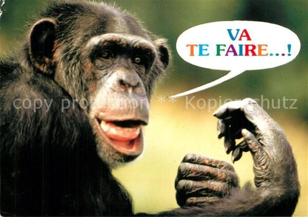Affen Schimpanse Va te Faire