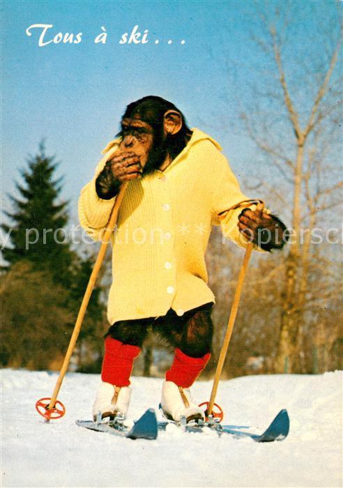 Affen Charlie Skifahren