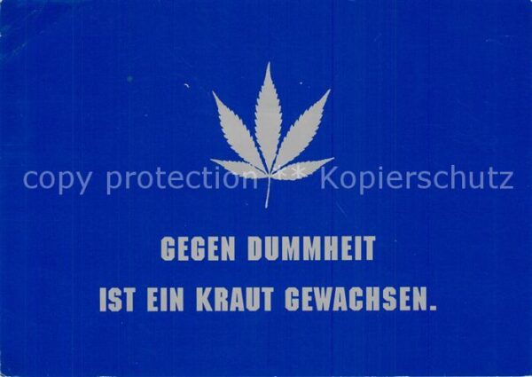 Humor Dummheit Kraut Hanf