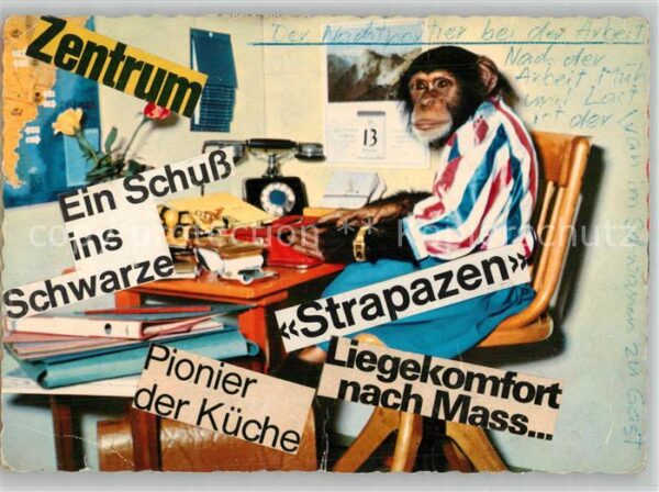 Affen Nachtportier Telefon Schreibmaschine