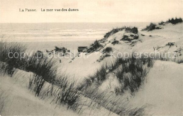 La Panne Veurne Meer Dünen