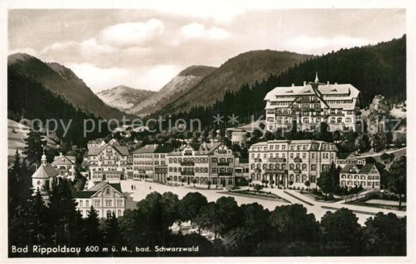 Bad Rippoldsau Schwarzwald Panorama